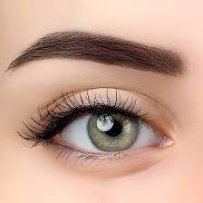 Contact Lens